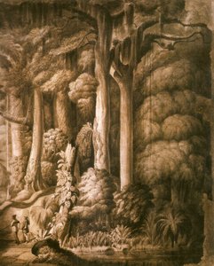 Brazilian Forest (Detail)